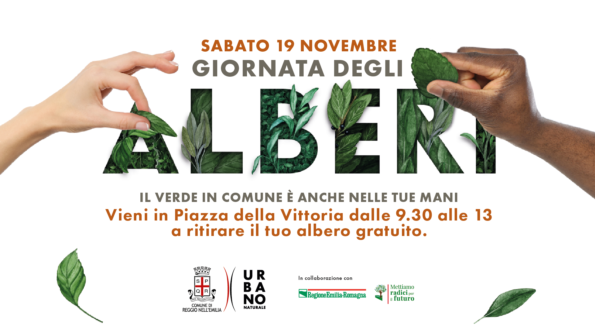 19 novembre - distribuzione gratuita di alberi in Piazza della Vittoria